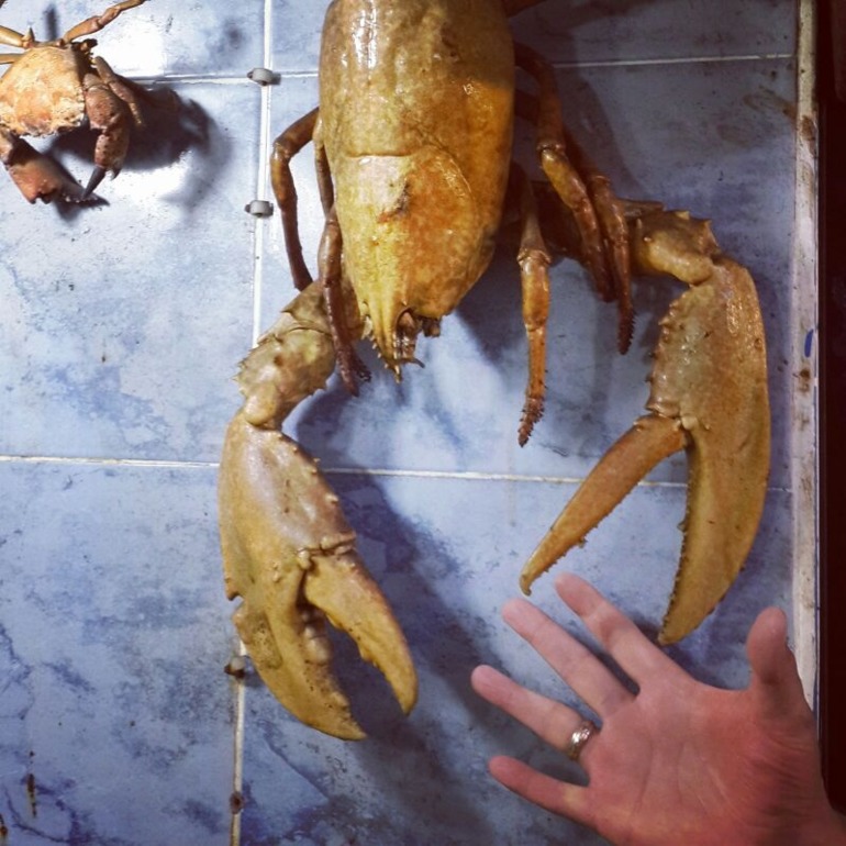 И снова рыбный базар....