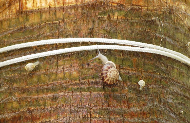 Нелюбимая Турция в несезон, оказывается здОрово!