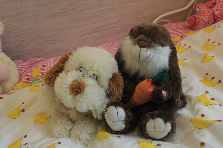 От погремушек до разв. игрушек, домик для хомячка, паровозы Чаггинтон ) пазлы, палатка и пр.