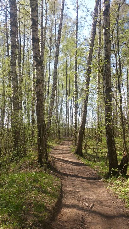 Продаю дачу рядом с г. Дубна, 24 сотки