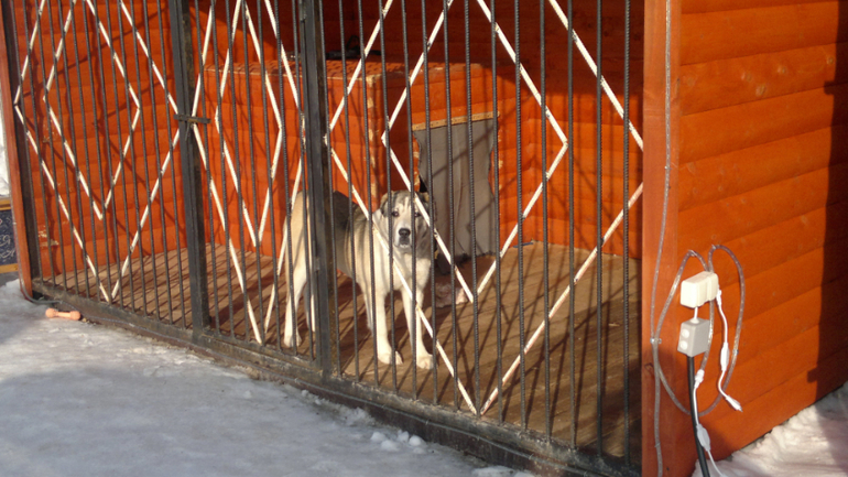 Продаеться два участка: с.Нижнее Хорошово г.Коломна 15-18 соток, ст Тихая поляна . д.Скурыгино г.Чех