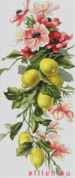 Мои хочушки