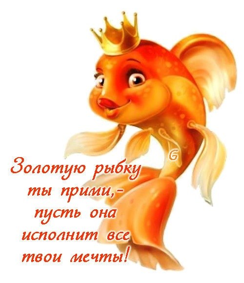 39ac62d13904500ed8c8f0a74bcc9e66.jpg
