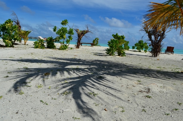 Хороший отель, очаровательное море и скучное питание!