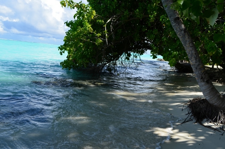 Хороший отель, очаровательное море и скучное питание!