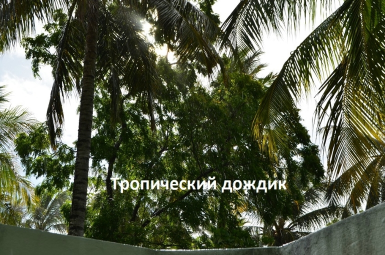 Хороший отель, очаровательное море и скучное питание!