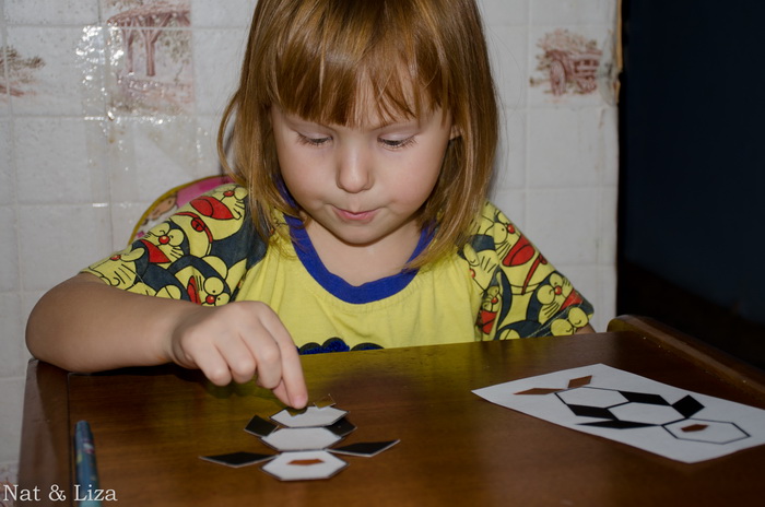 ТЗ Пингвины