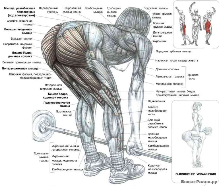 Перехожу на свободные веса:)