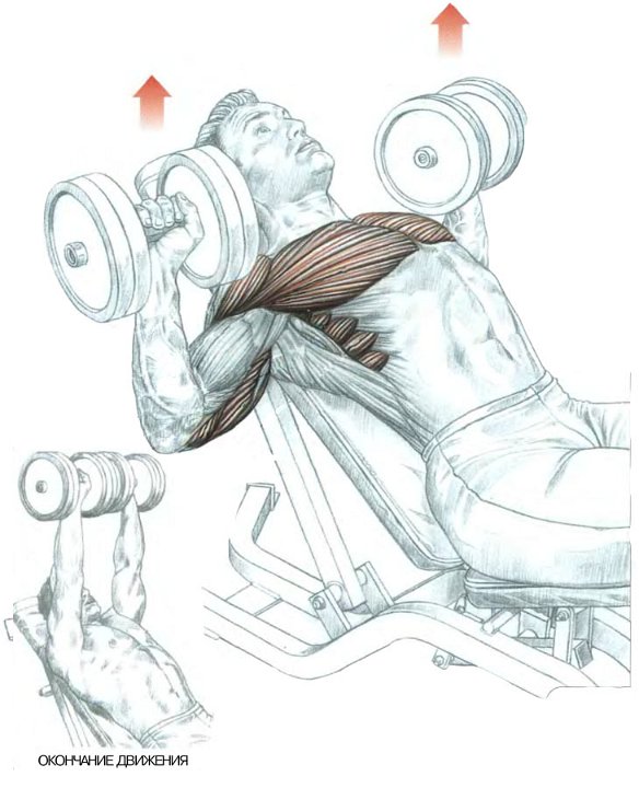 Мой тренер - зверюга))))