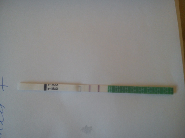 Это Овуляция????