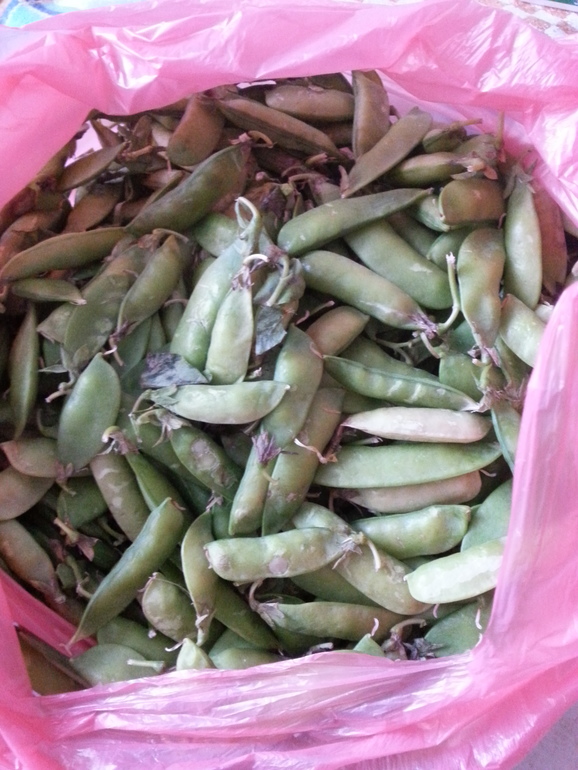 Лето удалось, если