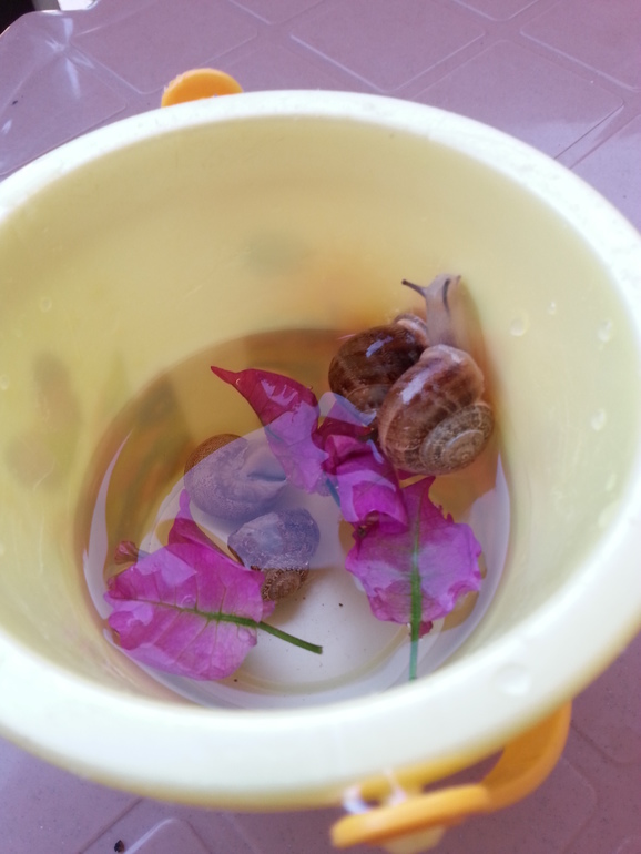 Турляндия 23.05-03.06.2014