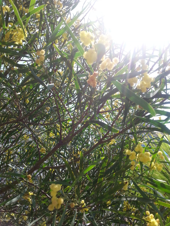 Турляндия 23.05-03.06.2014