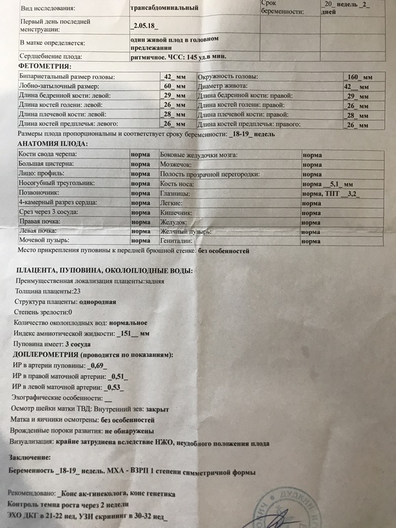 полость прозрачной перегородки на узи. полость прозрачной перегородки норма. полость прозрачной перегородки норма. сильвиева борозда у плода норма по неделям таблица. заключение узи головного мозга в 1 месяц.