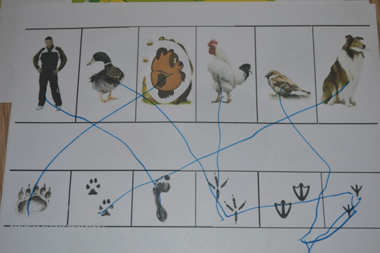 Ларец сказок. Винни-Пух.