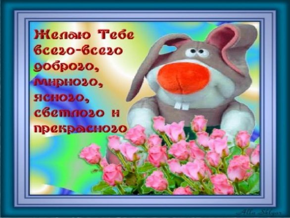 a6d44d1c6a512e769cab41c0fab9379f.jpg