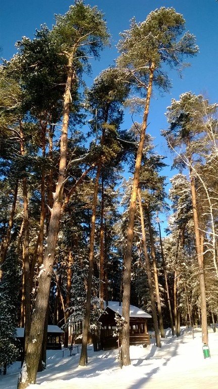 Яхонты запрведник Таруса январь 2014