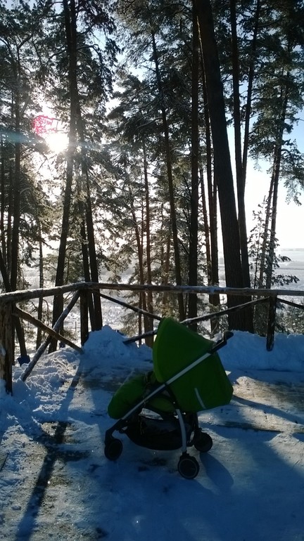 Яхонты запрведник Таруса январь 2014