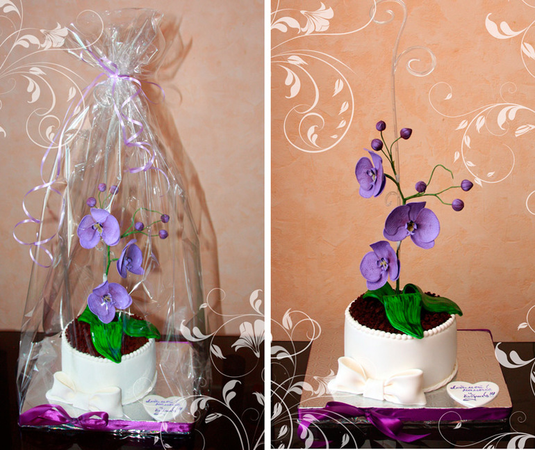 Торты для милых дам.