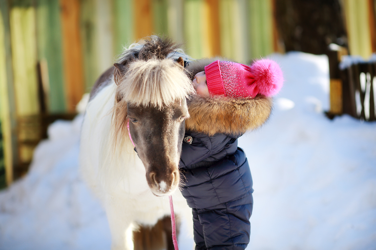 Winter 2012-2013 ) By Olechka )