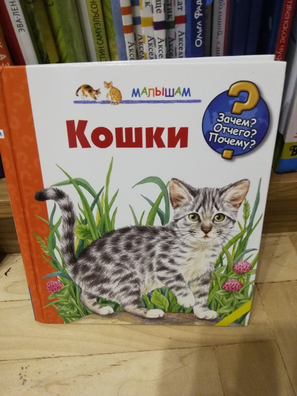 Котенок читать