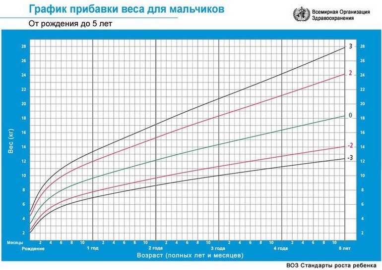 График воз вес. Воз таблица роста и веса. График веса воз для девочек. График набора веса. Нормы веса воз для девочек.