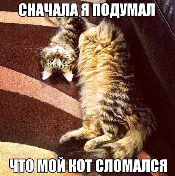 Просто картинки (без политики)