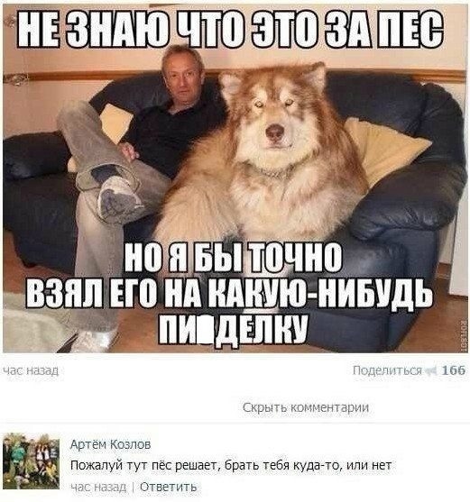 Смешные комментарии (для разгрузки)