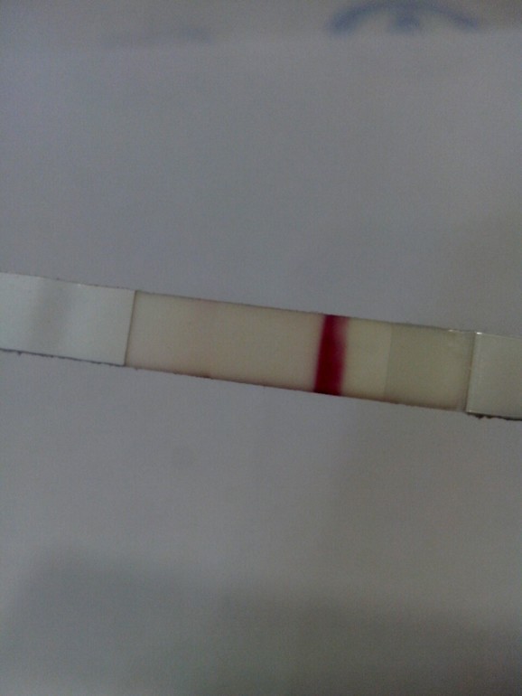 ББ тест..............