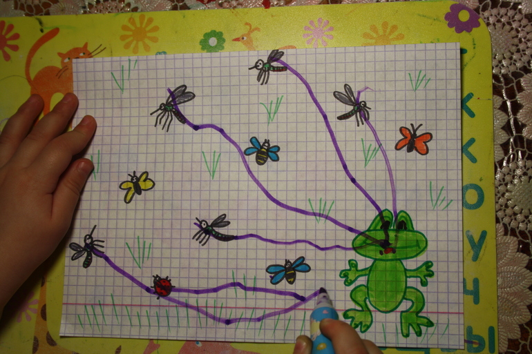 Насекомые. День 4.