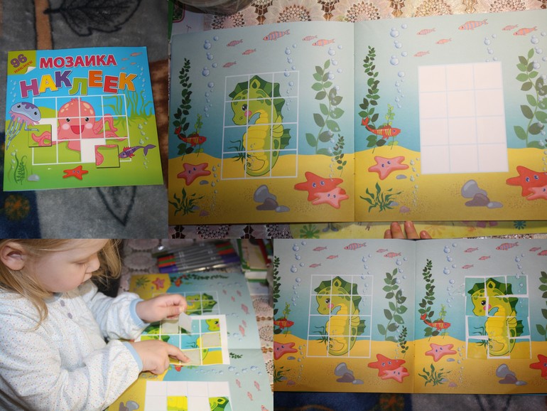 Обитатели морей и океанов.  День 1.