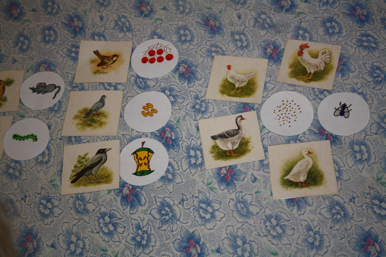 Птицы. 5. Обобщение.