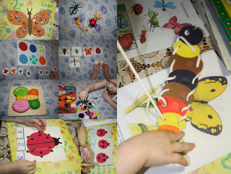 Насекомые. День 1.