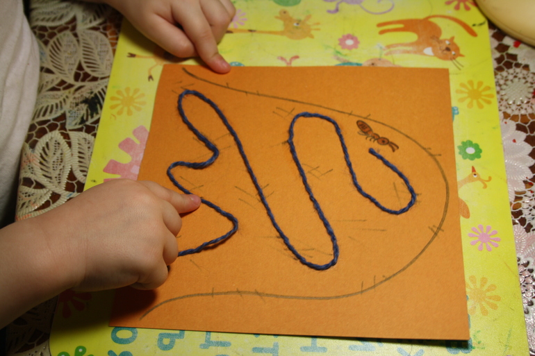 Насекомые. День 3.