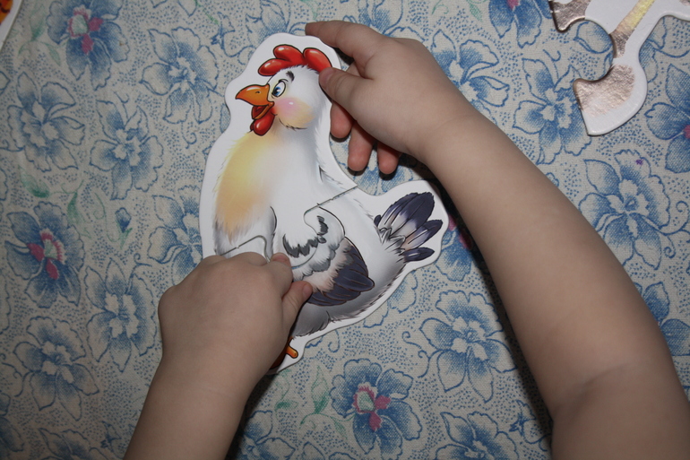 Птицы. 2. Домашние.