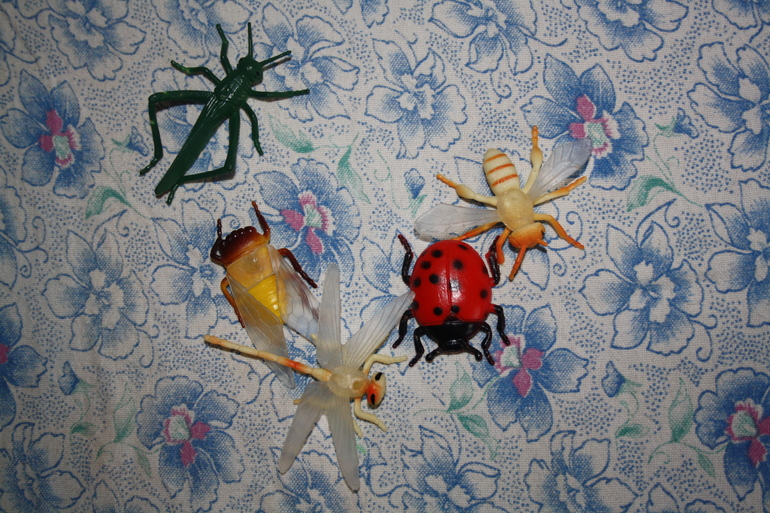 Насекомые. День 1.