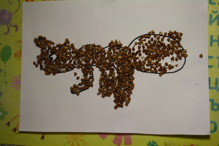 Насекомые. День 3.