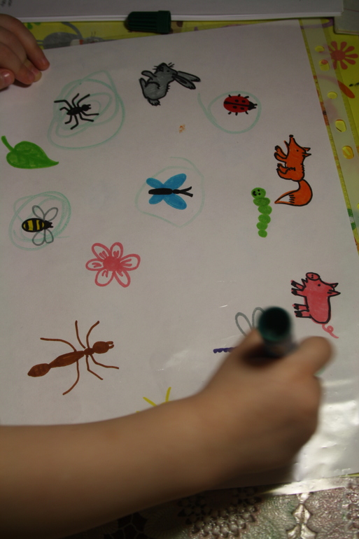 Насекомые. День 3.