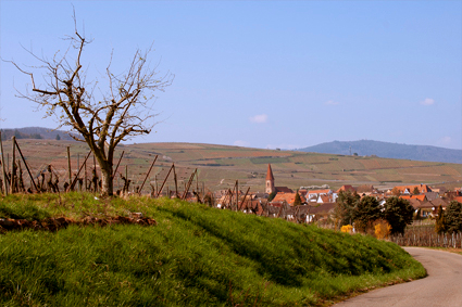 Весна. Эльзас. Пасхально-цветочное.
