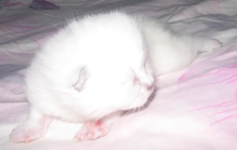 Нам 1 неделя!