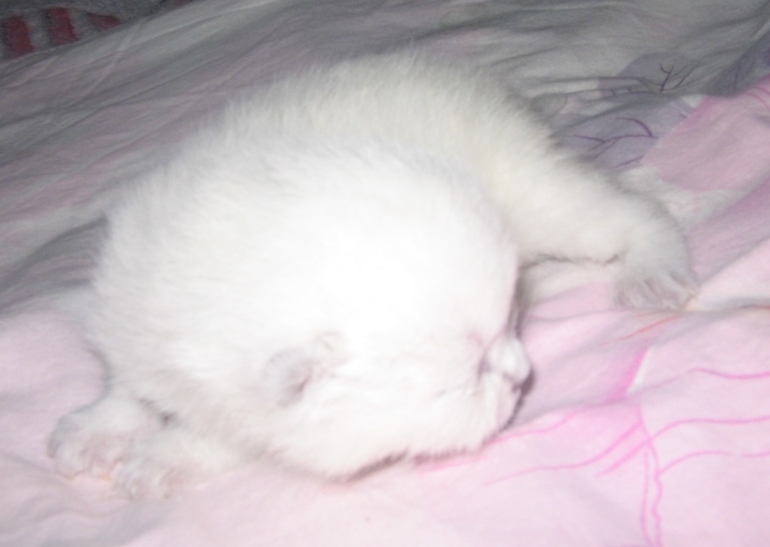 Нам 1 неделя!