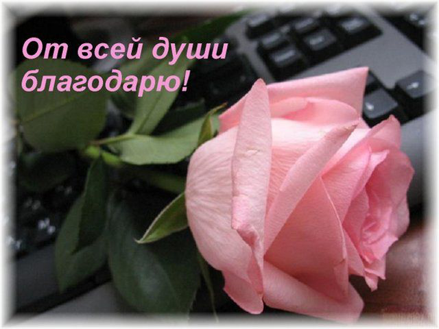 849993f0b5c132e5fc3ea4914b07c1cd.png