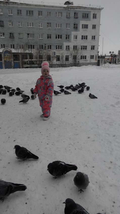 Картинка