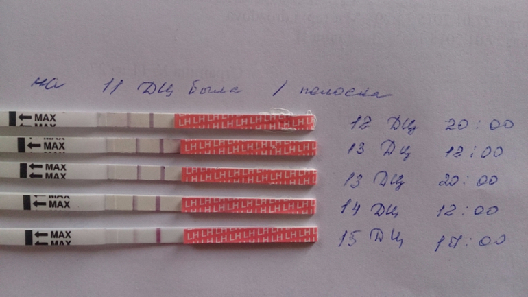 Забеременеть за несколько дней до
