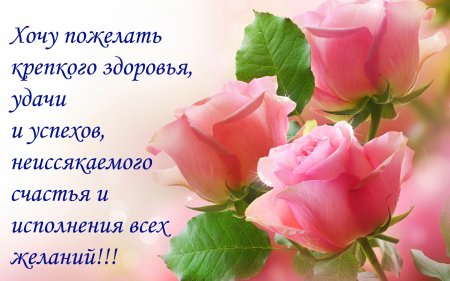 e9fc77bda766d4bd9a717230358bac16.jpg