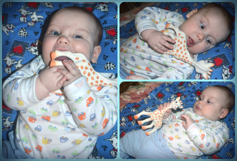 Роберту 5 месяцев!