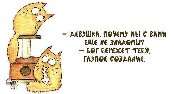 8212afe2cd2f9354e3c9e5a8c1626f05.jpg