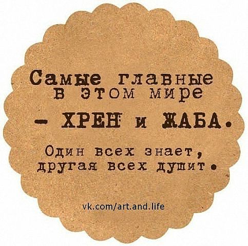 a016c4491adffa22736873f9eb4745cc.jpg