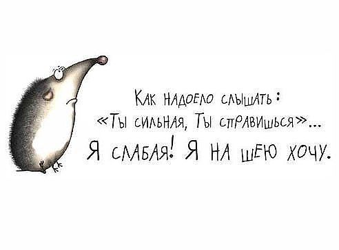 eafddfd797206ad722f301e1e64344f8.jpg
