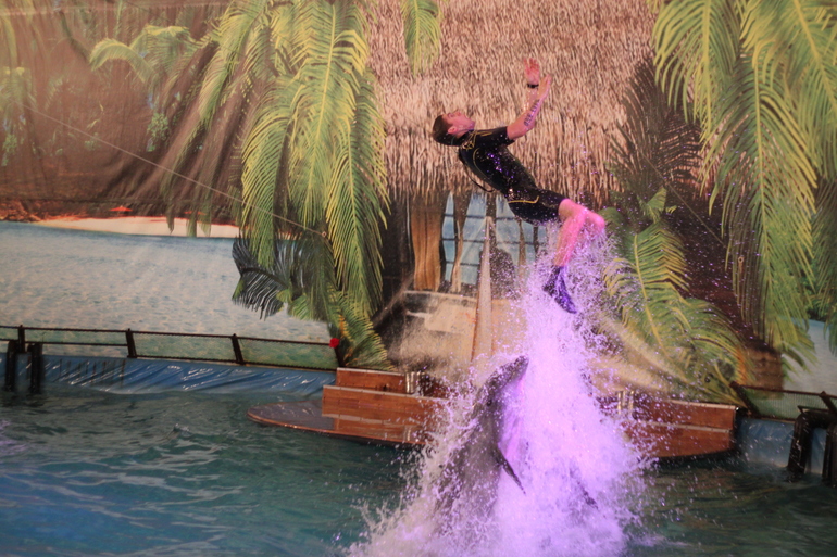 Дельфинарий